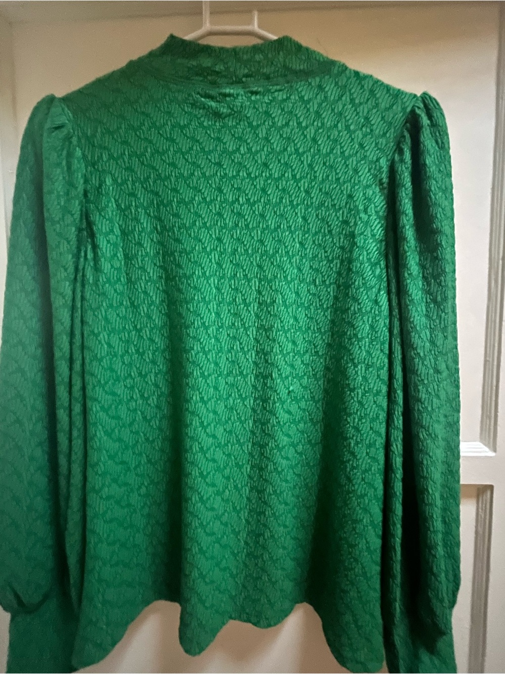 Green Textured Long-Sleeve Women's Blouse Size Large